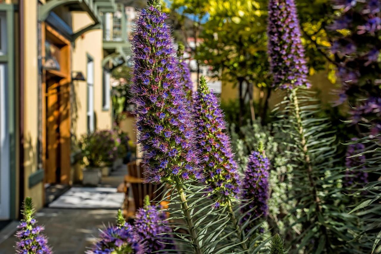 The Avalon Hotel In Catalina Island Exterior foto